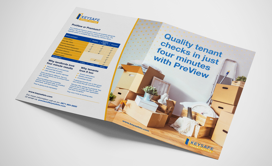 Buiness overview brochure design